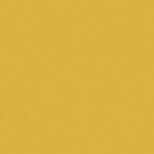 SANDERSON PAINT PIRATE GOLD  78